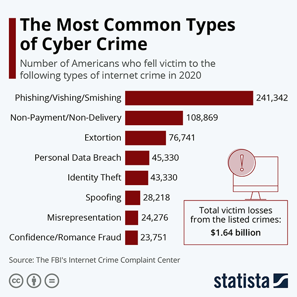 Most Common Types of Cyber Crime